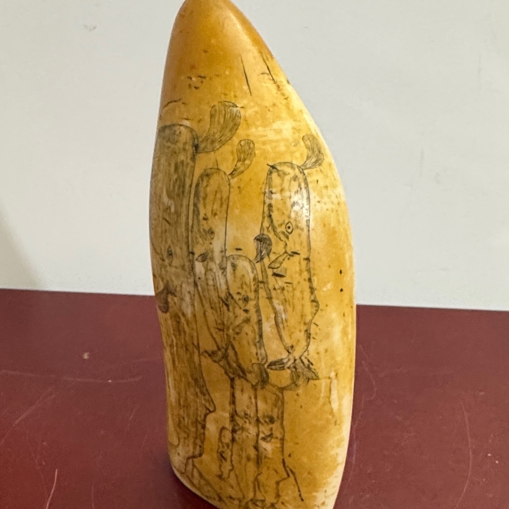 SCRIMSHAW REPLICA RESIN SPERM WHALE TOOTH SHOAL OF WHALES ARTEK MS ANCHOR LOGO - Picture 9 of 14